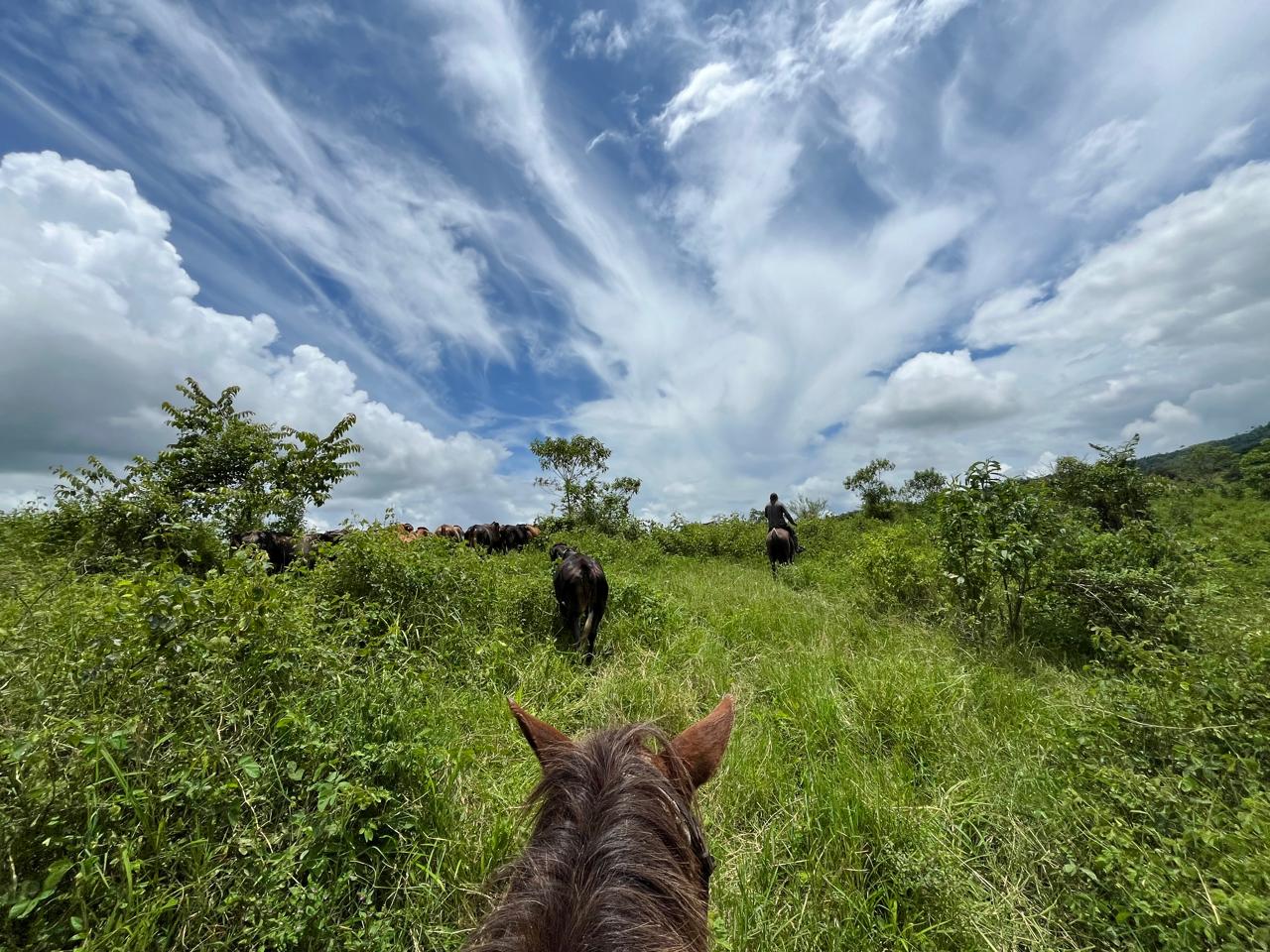 WhatsApp Image 2025-09-14 at 13.30.39