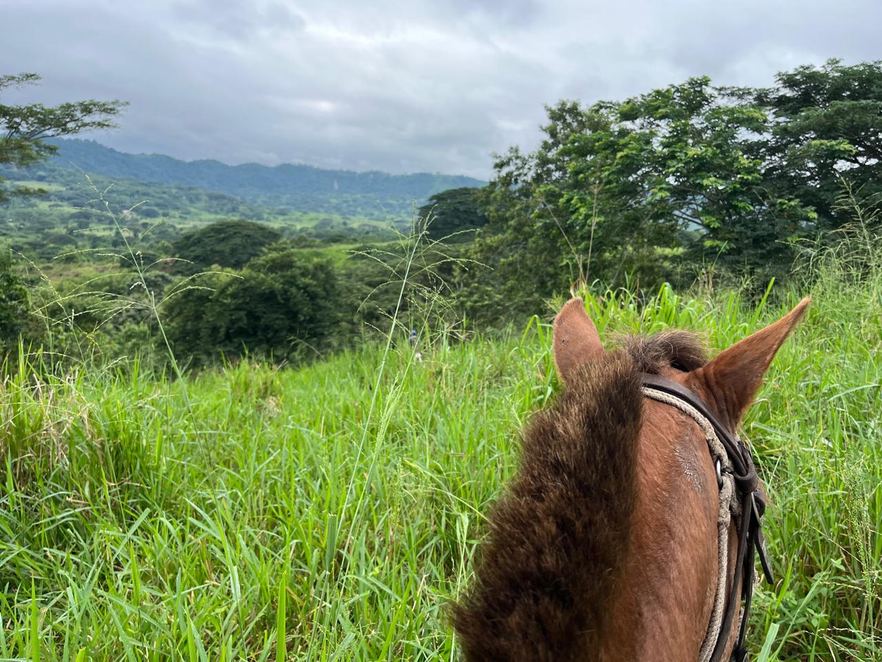 WhatsApp Image 2025-09-14 at 13.30.40 (1)