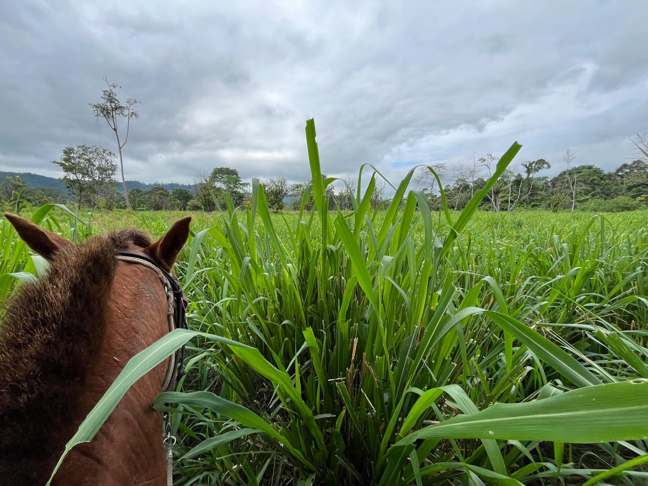 WhatsApp Image 2025-09-14 at 13.30.40 (2)