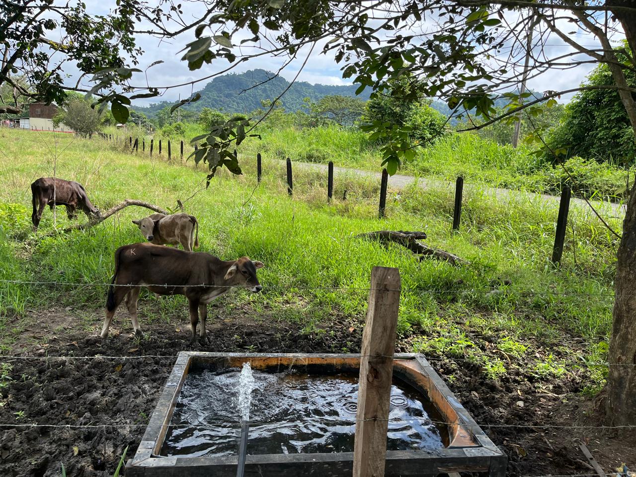 WhatsApp Image 2025-09-14 at 13.30.40 (3)