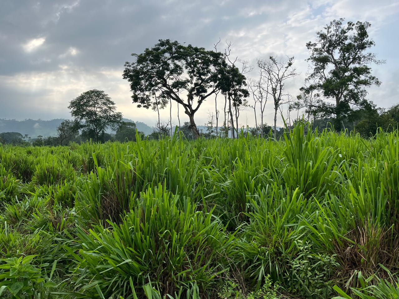 WhatsApp Image 2025-09-14 at 13.30.40 (4)