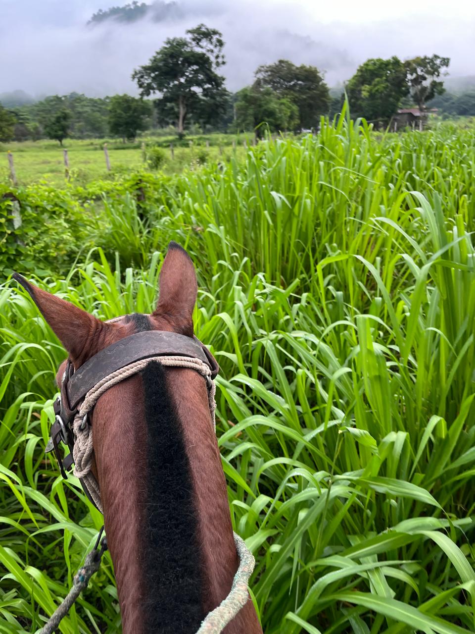 WhatsApp Image 2025-09-14 at 13.30.40 (5)