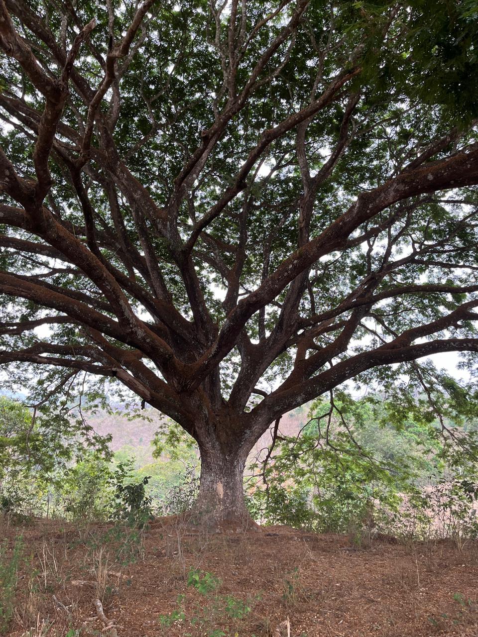 WhatsApp Image 2025-09-14 at 13.30.40