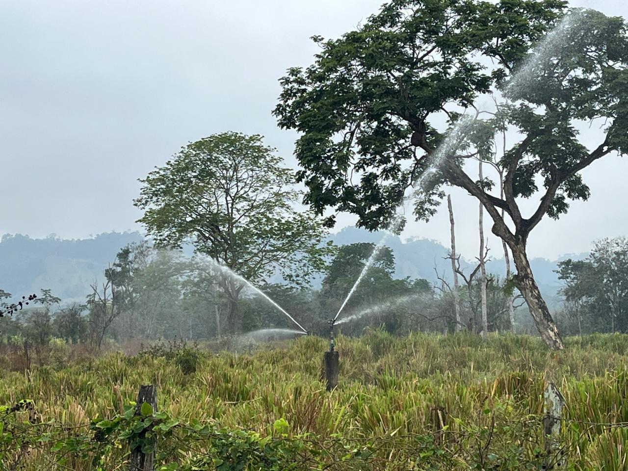 WhatsApp Image 2025-09-14 at 13.30.41 (1)