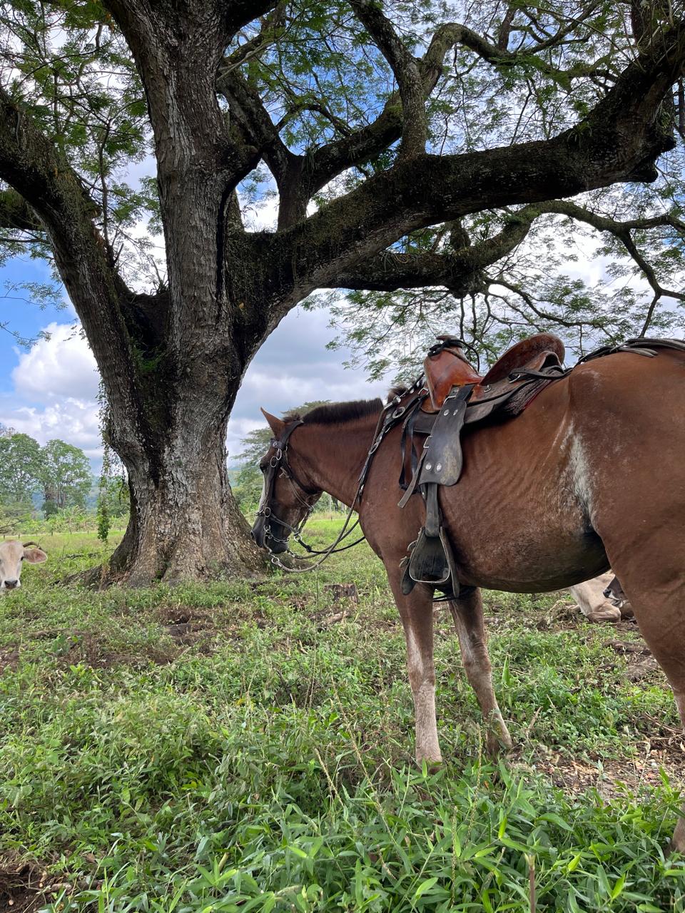 WhatsApp Image 2025-09-14 at 13.30.41 (2)