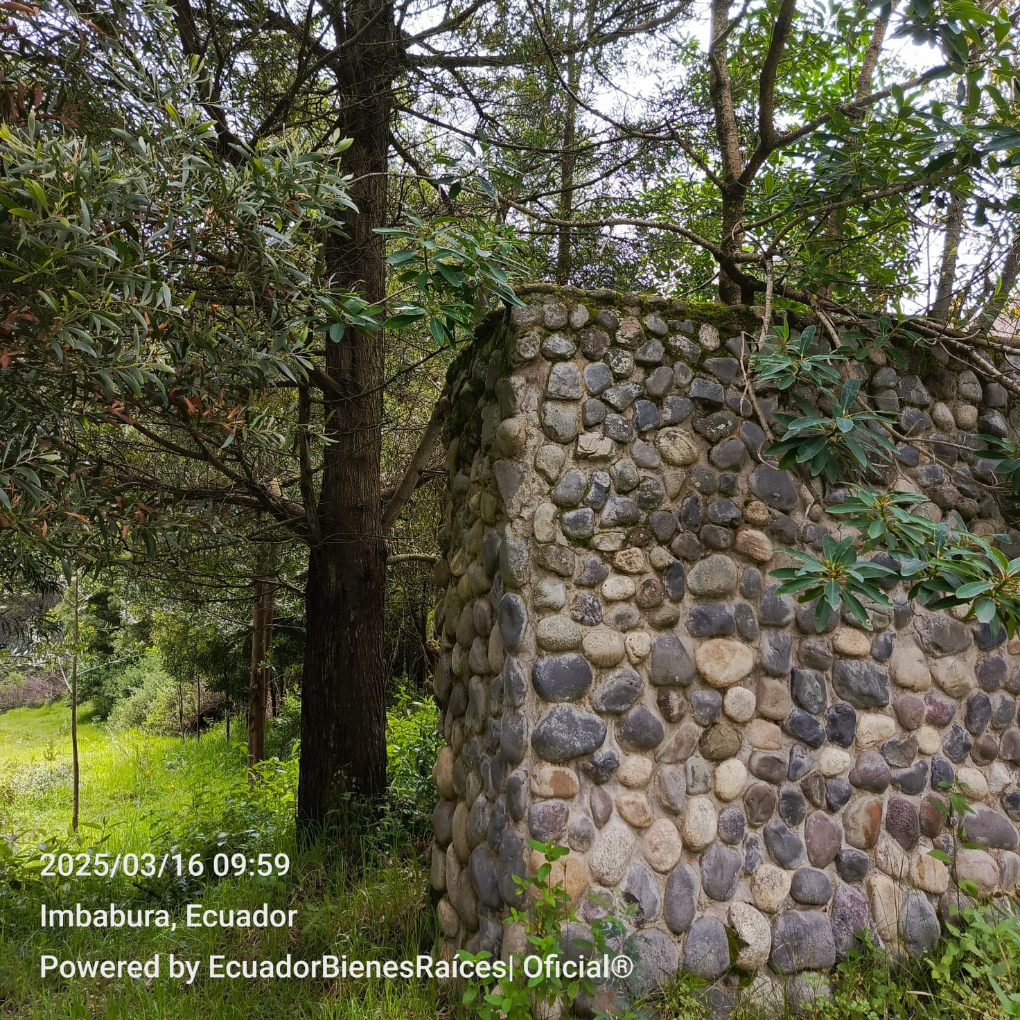 WhatsApp Image 2025-07-29 at 07.00.05