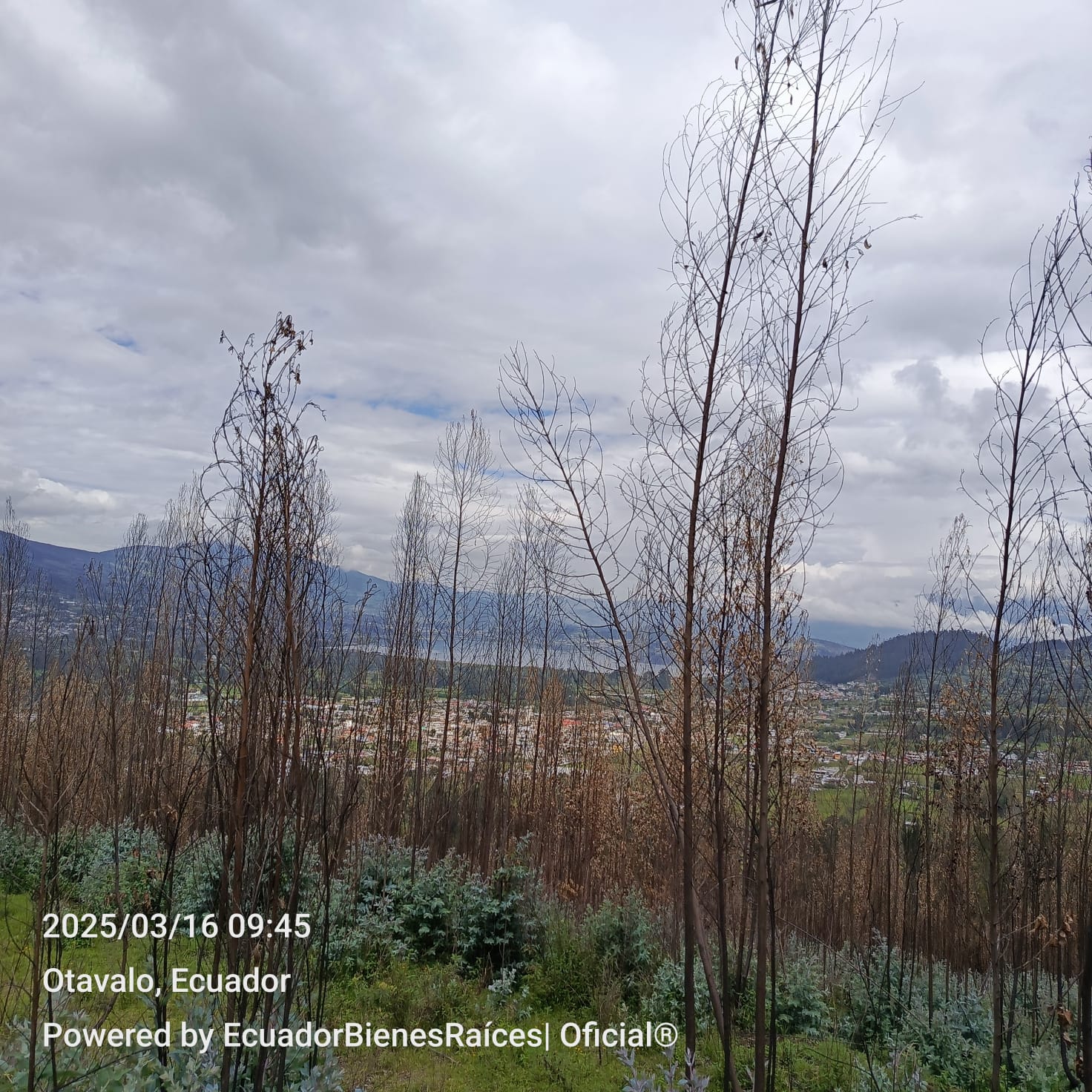 WhatsApp Image 2025-07-29 at 07.00.06 (2)