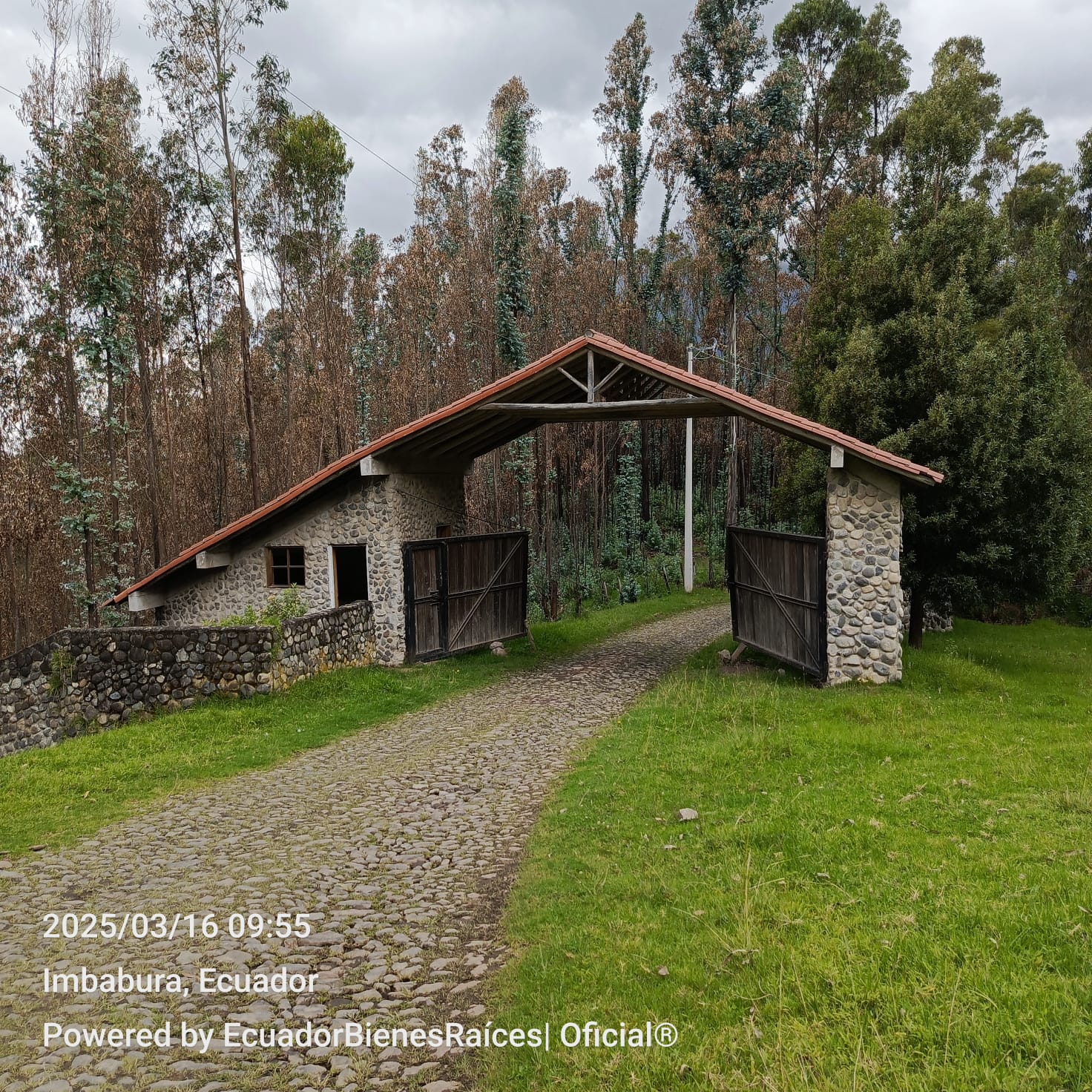 WhatsApp Image 2025-07-29 at 07.00.06