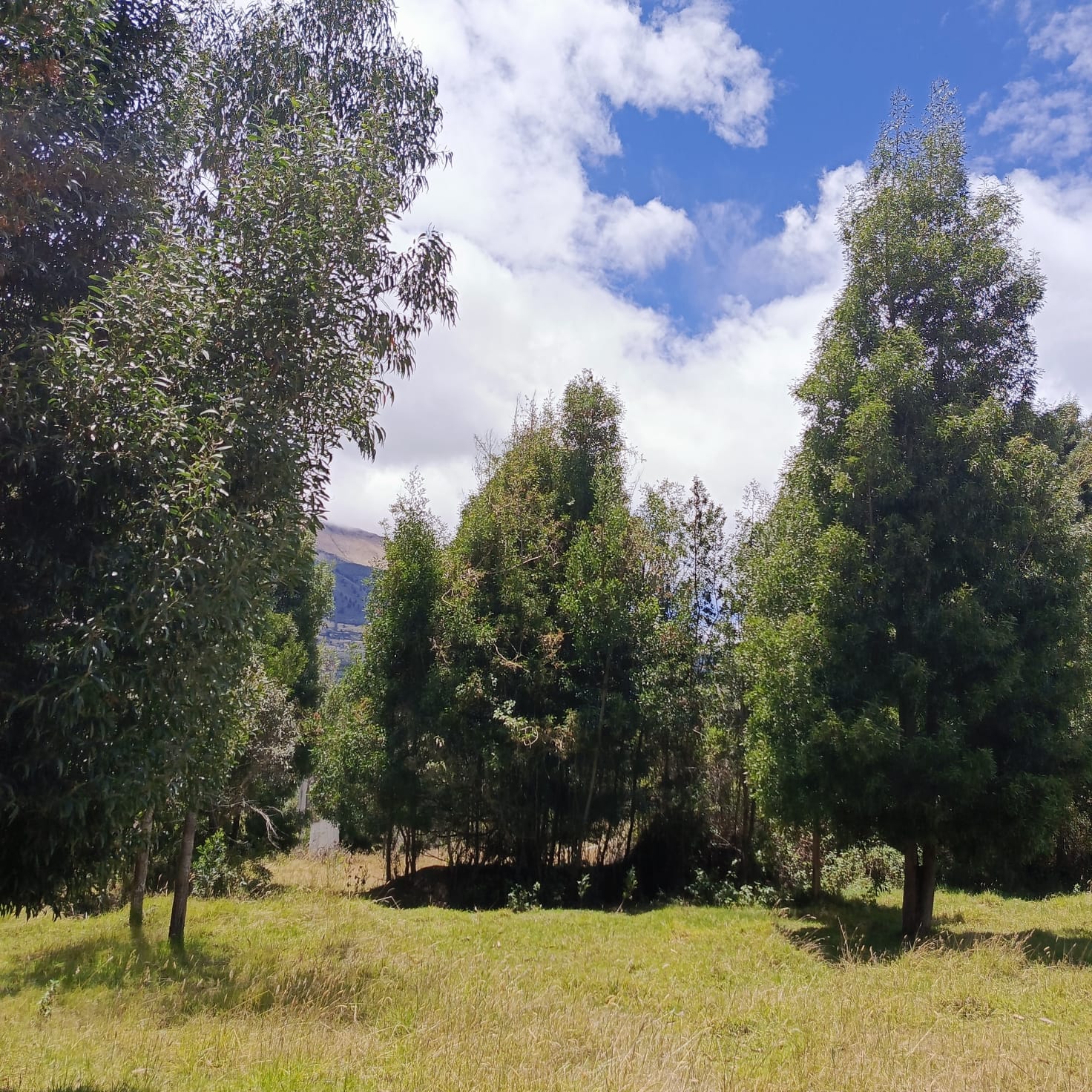 WhatsApp Image 2025-12-28 at 09.58.02 (1)