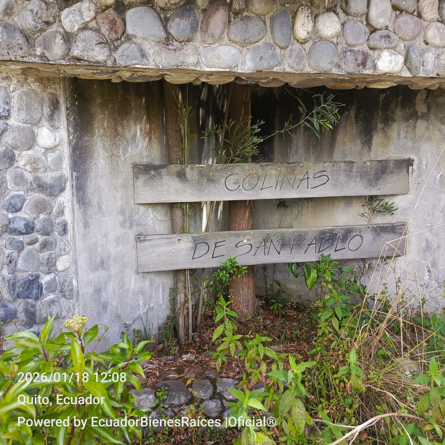 WhatsApp Image 2026-01-25 at 17.57.15