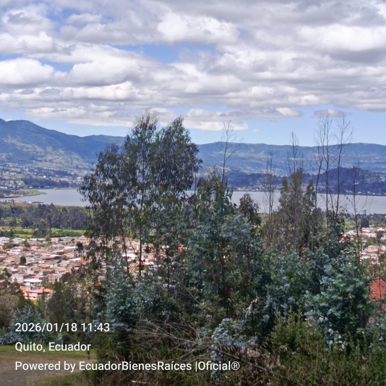 WhatsApp Image 2026-01-25 at 17.57.34