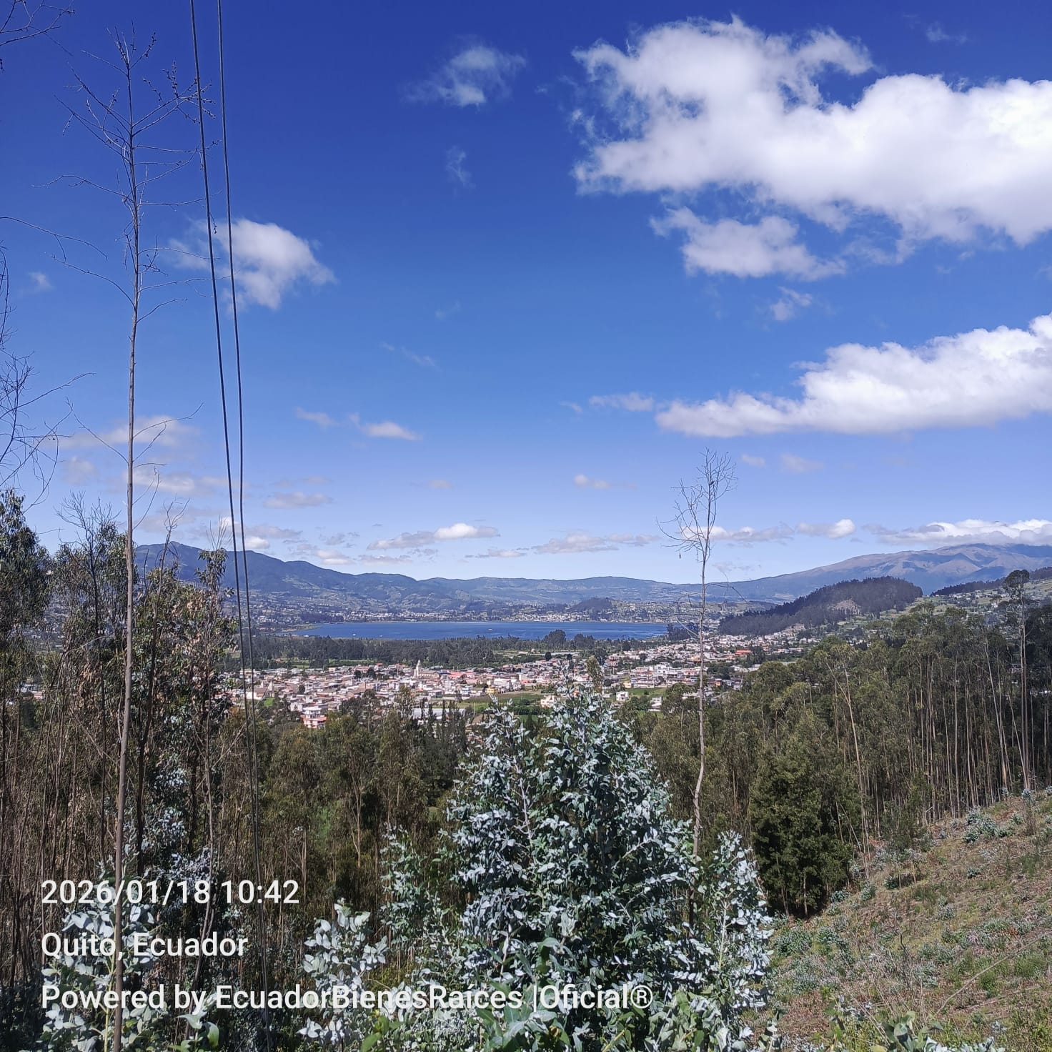 WhatsApp Image 2026-01-25 at 17.58.03 (3)