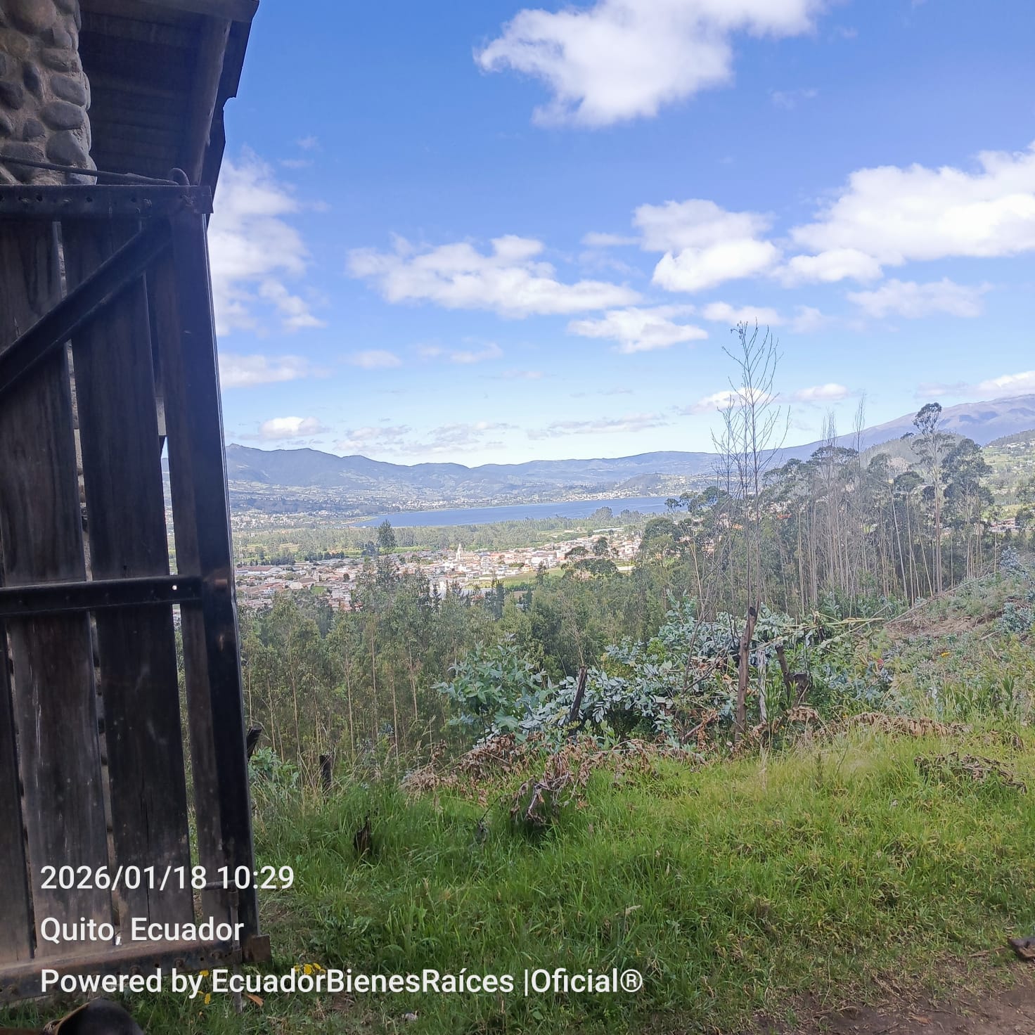 WhatsApp Image 2026-01-25 at 17.58.03 (5)