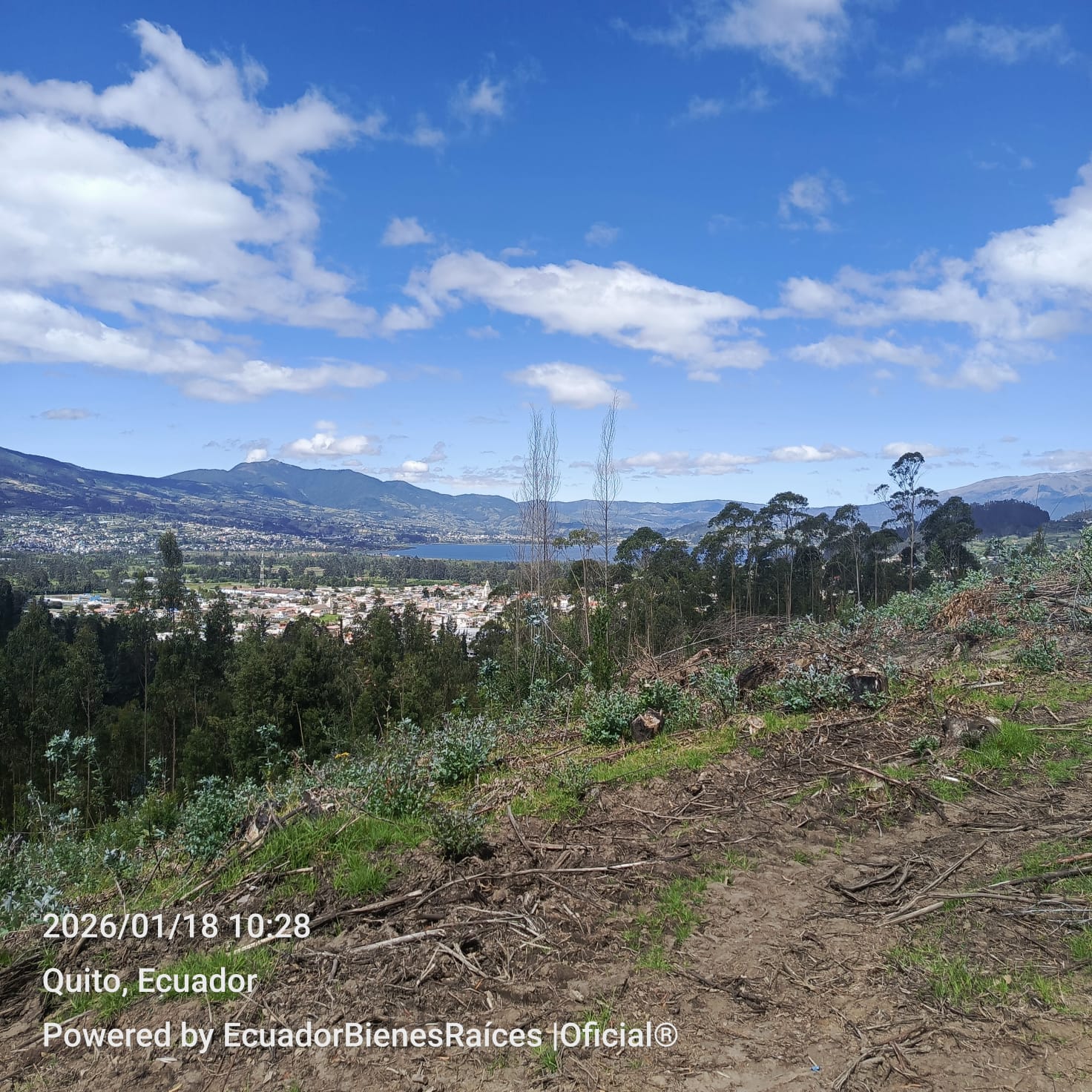 WhatsApp Image 2026-01-25 at 17.58.04 (2)