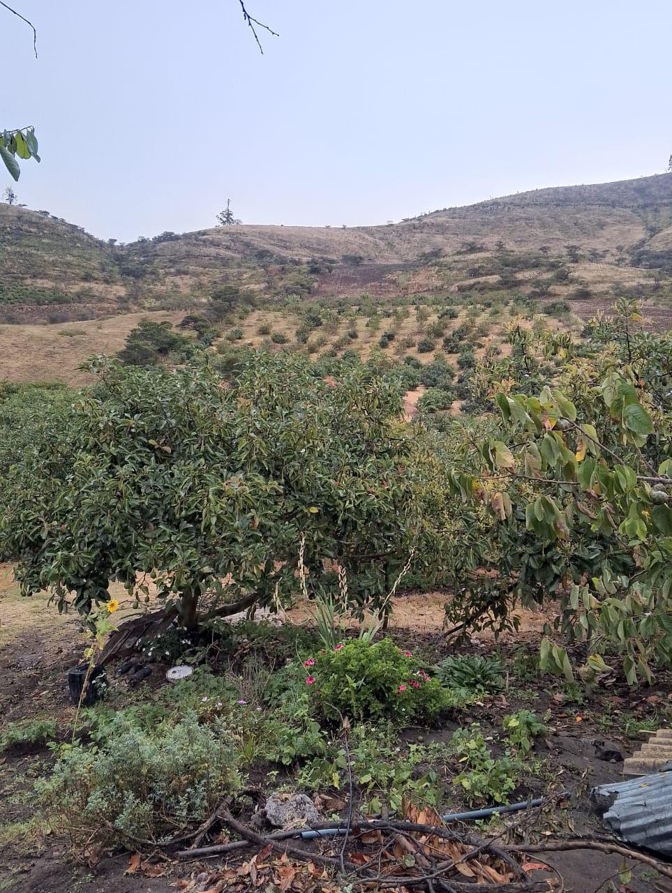 WhatsApp Image 2026-03-06 at 10.14.07