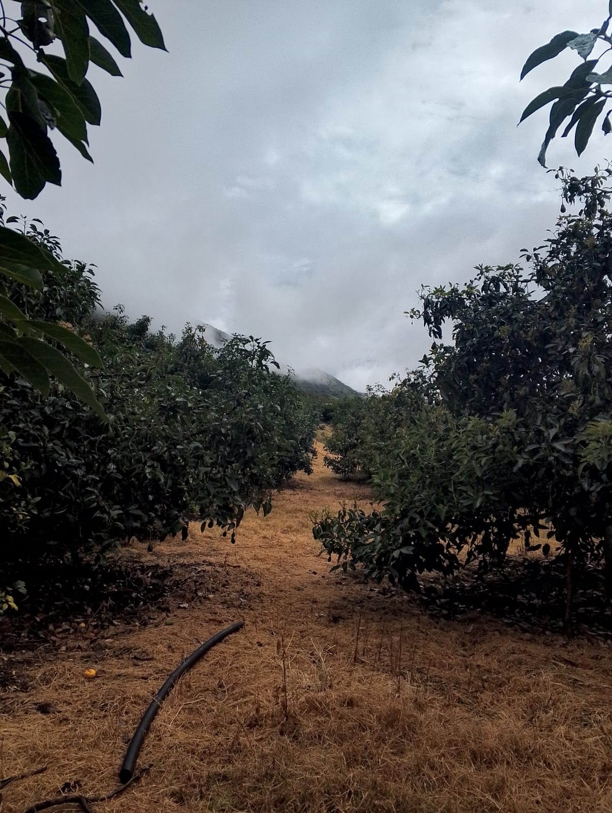 WhatsApp Image 2026-03-06 at 10.14.10 (1)