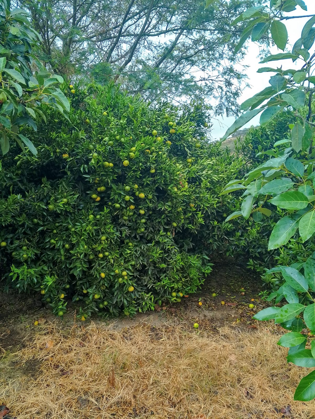 WhatsApp Image 2026-03-06 at 10.14.10