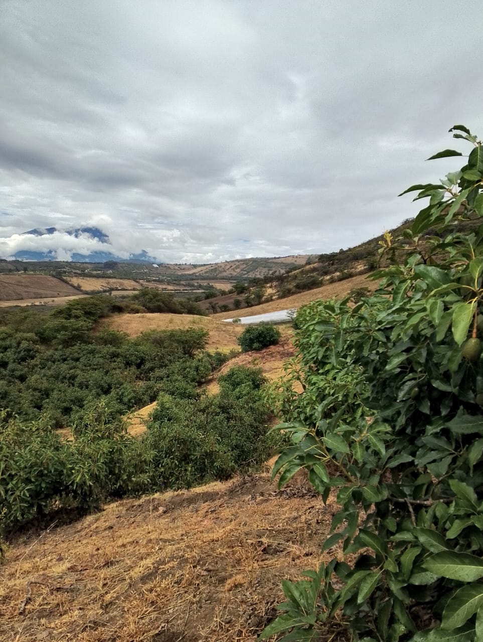 WhatsApp Image 2026-03-06 at 10.14.11 (2)