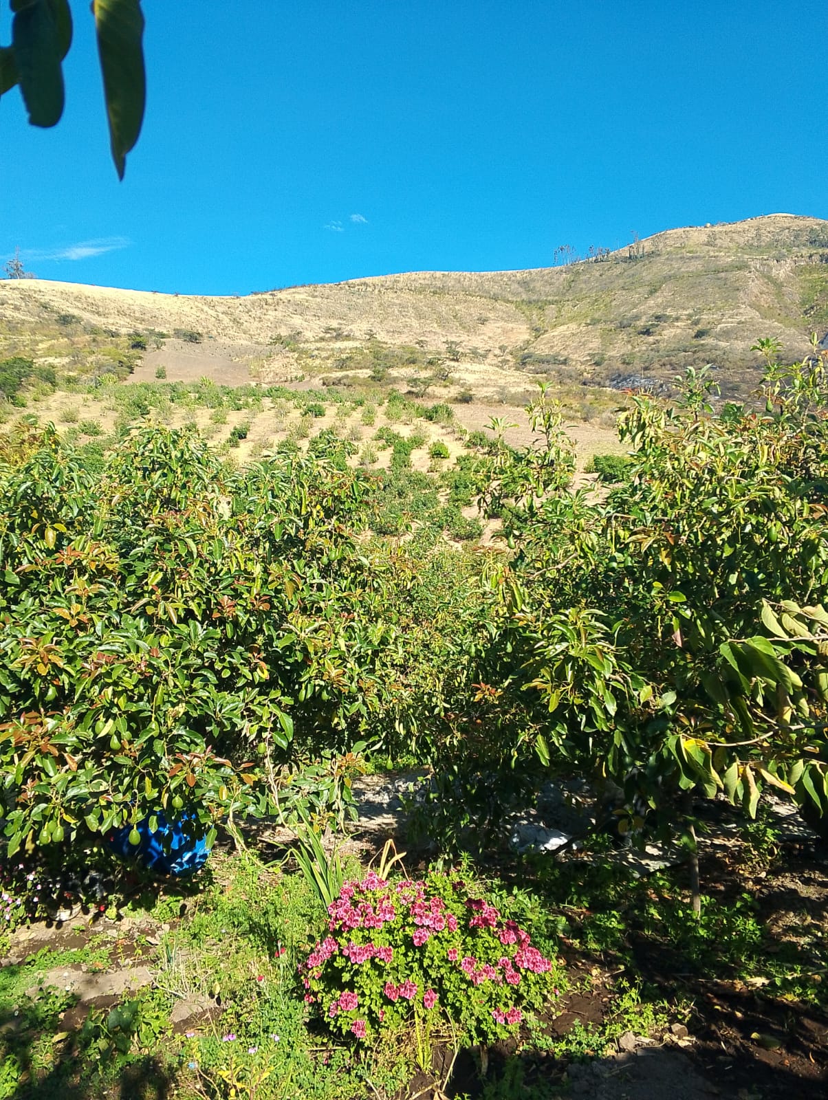 WhatsApp Image 2026-03-06 at 10.14.11 (3)