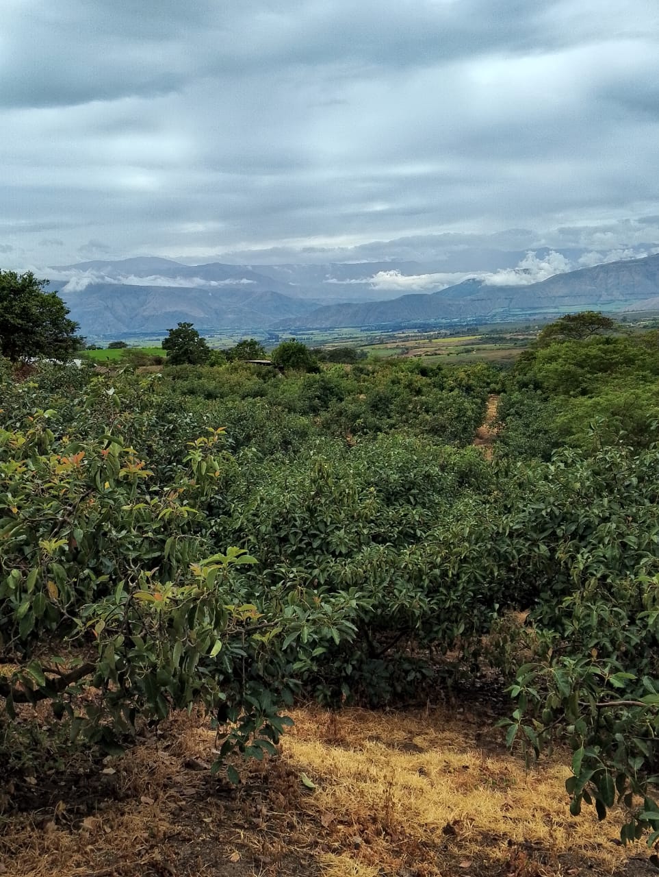 WhatsApp Image 2026-03-06 at 10.14.11