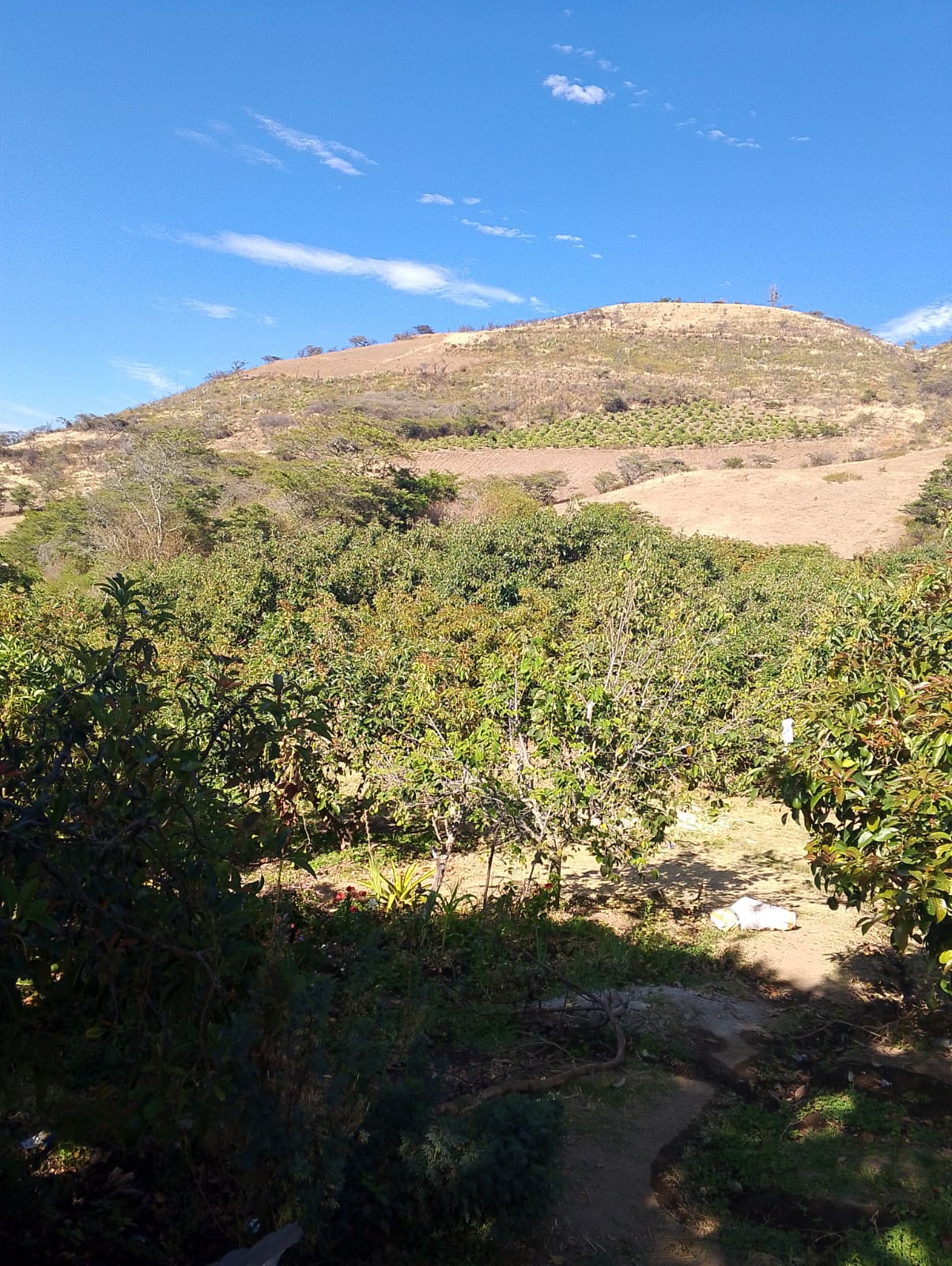 WhatsApp Image 2026-03-06 at 10.14.12