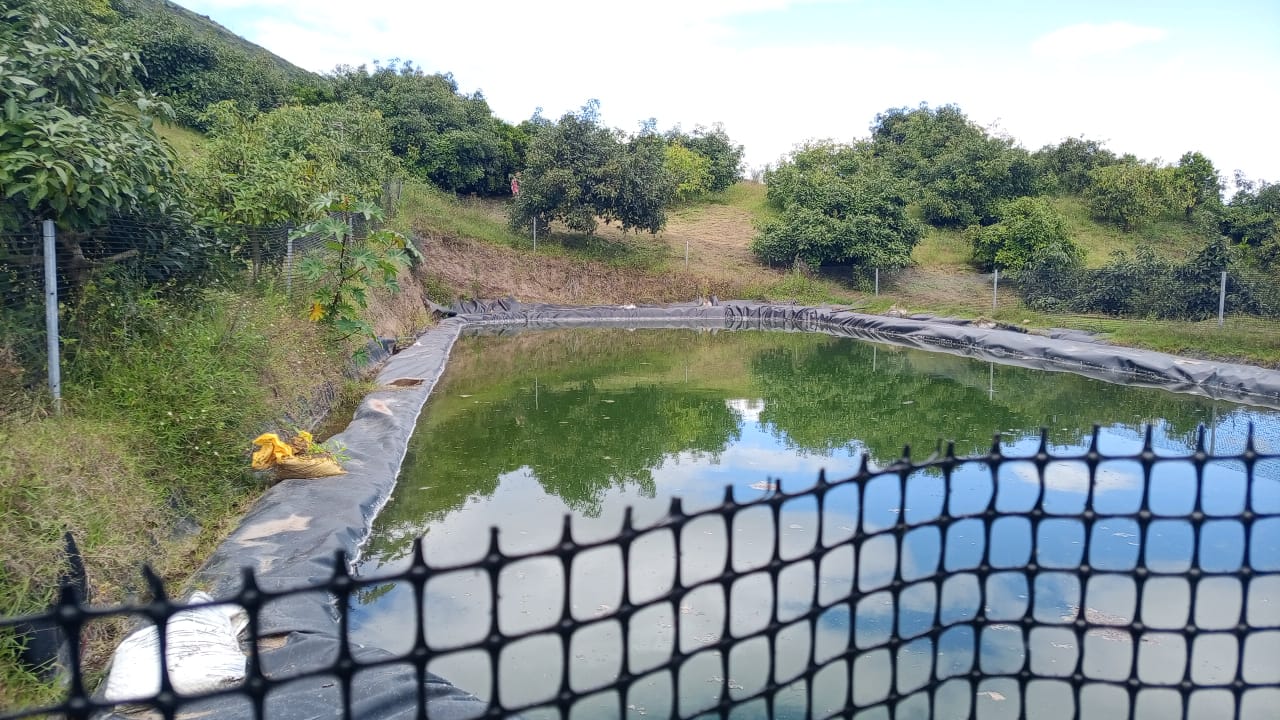 WhatsApp Image 2026-03-06 at 10.14.13 (3)