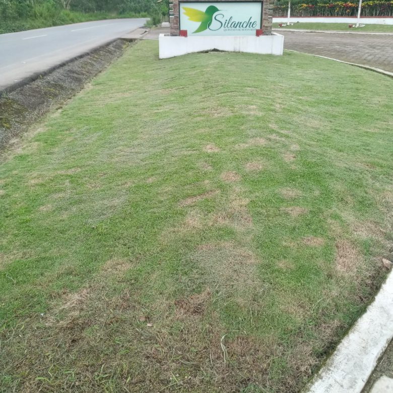 🌟 Venta 📞 099 294 7189 🏞️ Terreno 1.597 m² en Urbanización Privada Silanche 🏡 Tu Paraíso Vacacional Espera 🌴 #NaturalezaIdílica 🌿 #EscapaDelRuido 🌅