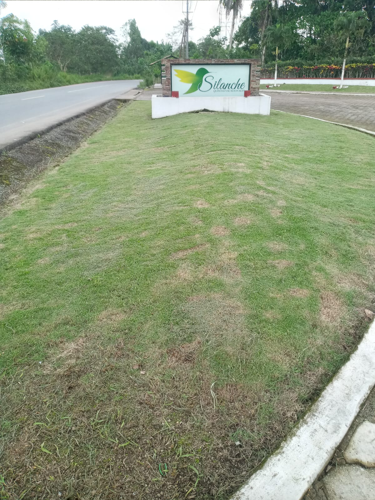 🌟 Venta 📞 099 294 7189 🏞️ Terreno 1.597 m² en Urbanización Privada Silanche 🏡 Tu Paraíso Vacacional Espera 🌴 #NaturalezaIdílica 🌿 #EscapaDelRuido 🌅