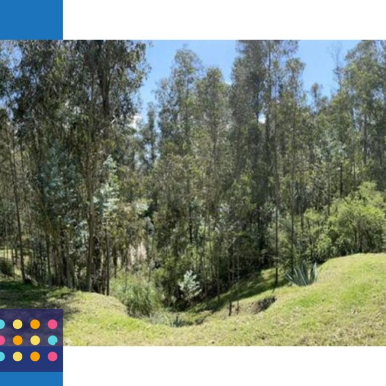Venta 0987 0100 74 📞 🌳🏞 3 Terrenos con Magia Natural en La Floresta – Alangasí desde 1.780 m² ️🔐✨ ¡Invierte en Tranquilidad, Seguridad y Crecimiento! 📍🚀 #RaícesQueTransforman