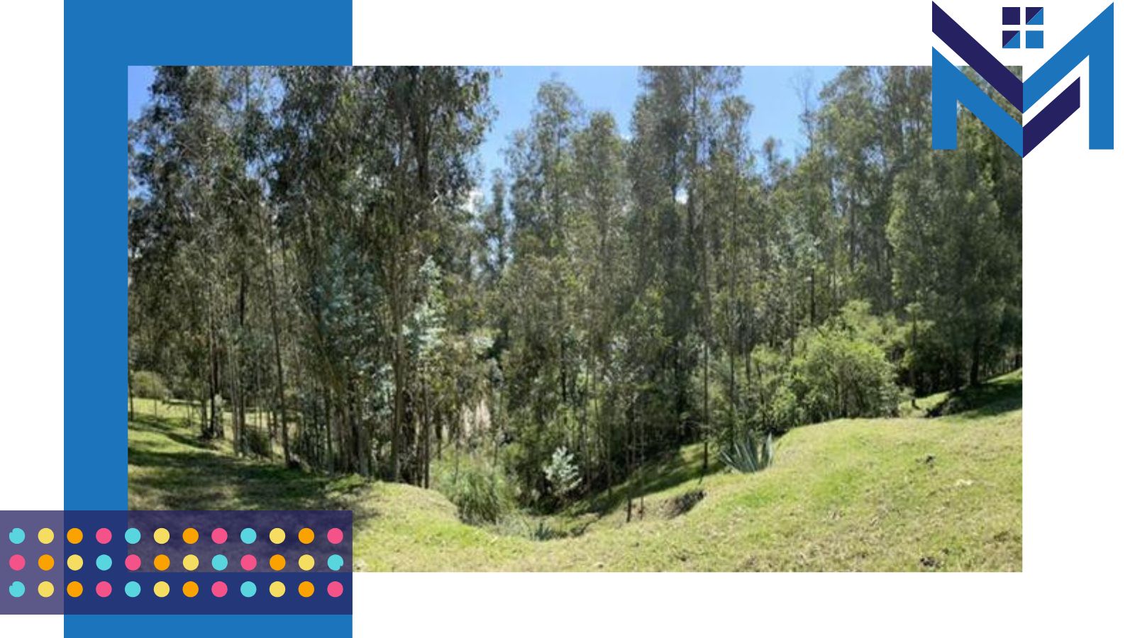 Venta 0987 0100 74 📞 🌳🏞 3 Terrenos con Magia Natural en La Floresta – Alangasí desde 1.780 m² ️🔐✨ ¡Invierte en Tranquilidad, Seguridad y Crecimiento! 📍🚀 #RaícesQueTransforman