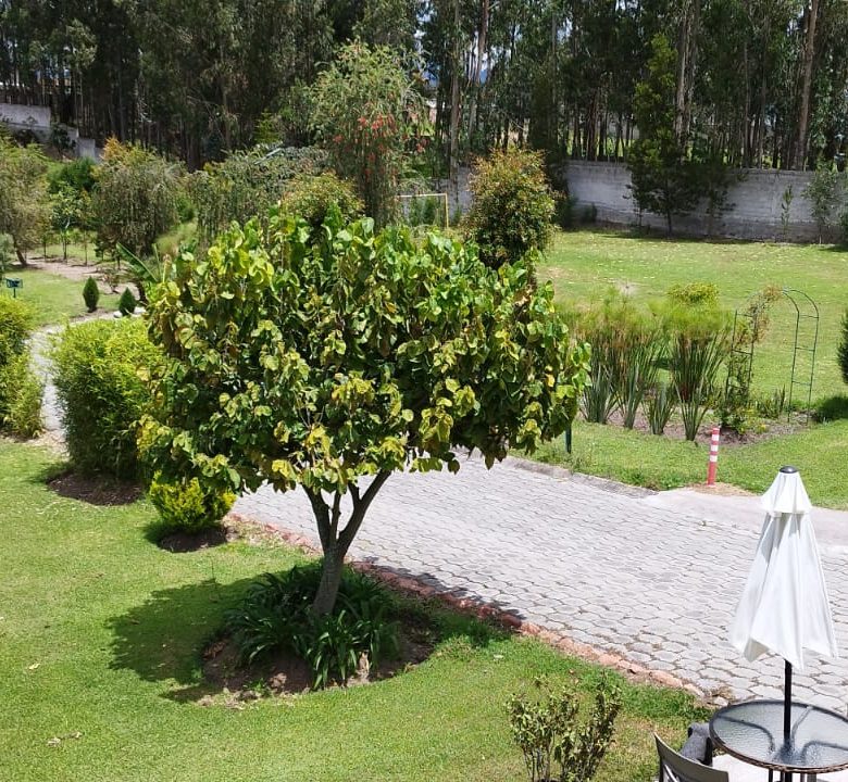 📲 098 701 0074 ✨💼 En Venta Quinta de Ensueño sobre 9.000 m² 🍃 ¡Lujo, Negocio y Confort en un Solo Lugar! 🏡🍖📍#TuInversiónIdeal