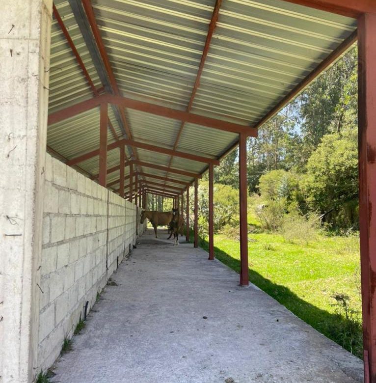 Venta 0987 0100 74 📞 🌳🏞 3 Terrenos con Magia Natural en La Floresta – Alangasí desde 1.780 m² ️🔐✨ ¡Invierte en Tranquilidad, Seguridad y Crecimiento! 📍🚀 #RaícesQueTransforman