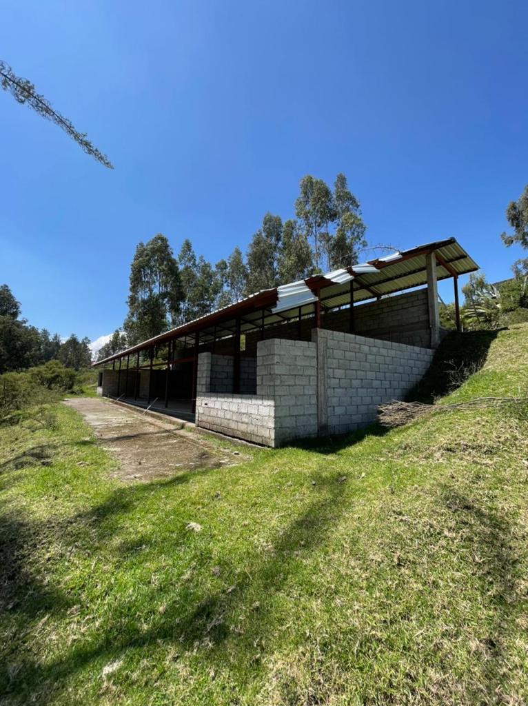 Venta 0987 0100 74 📞 🌳🏞 3 Terrenos con Magia Natural en La Floresta – Alangasí desde 1.780 m² ️🔐✨ ¡Invierte en Tranquilidad, Seguridad y Crecimiento! 📍🚀 #RaícesQueTransforman
