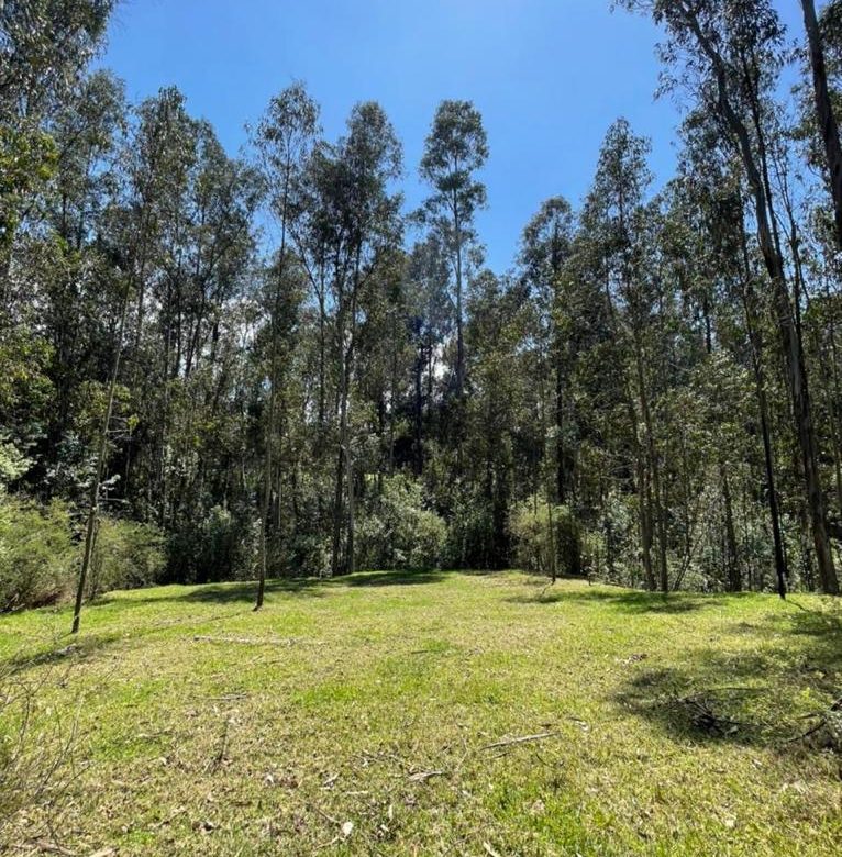 Venta 0987 0100 74 📞 🌳🏞 3 Terrenos con Magia Natural en La Floresta – Alangasí desde 1.780 m² ️🔐✨ ¡Invierte en Tranquilidad, Seguridad y Crecimiento! 📍🚀 #RaícesQueTransforman