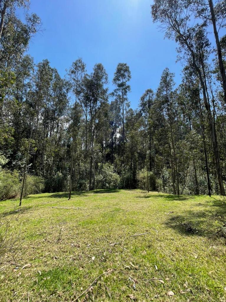 Venta 0987 0100 74 📞 🌳🏞 3 Terrenos con Magia Natural en La Floresta – Alangasí desde 1.780 m² ️🔐✨ ¡Invierte en Tranquilidad, Seguridad y Crecimiento! 📍🚀 #RaícesQueTransforman