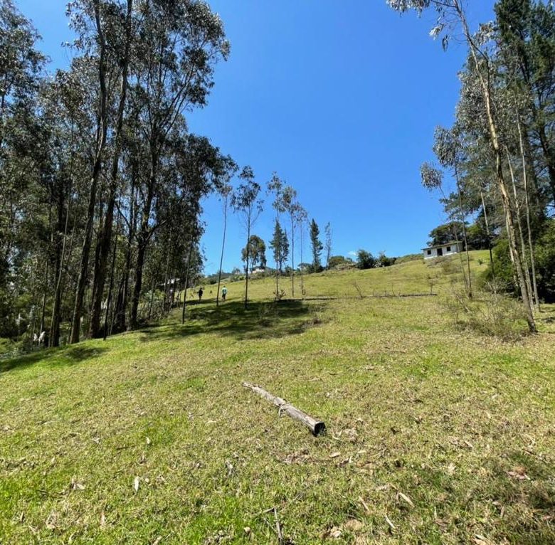 Venta 0987 0100 74 📞 🌳🏞 3 Terrenos con Magia Natural en La Floresta – Alangasí desde 1.780 m² ️🔐✨ ¡Invierte en Tranquilidad, Seguridad y Crecimiento! 📍🚀 #RaícesQueTransforman