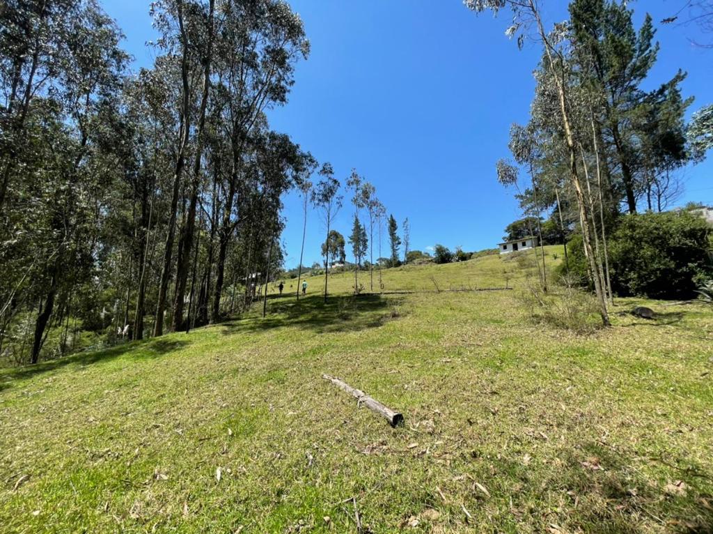Venta 0987 0100 74 📞 🌳🏞 3 Terrenos con Magia Natural en La Floresta – Alangasí desde 1.780 m² ️🔐✨ ¡Invierte en Tranquilidad, Seguridad y Crecimiento! 📍🚀 #RaícesQueTransforman