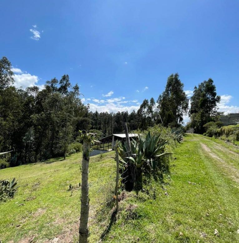 Venta 0987 0100 74 📞 🌳🏞 3 Terrenos con Magia Natural en La Floresta – Alangasí desde 1.780 m² ️🔐✨ ¡Invierte en Tranquilidad, Seguridad y Crecimiento! 📍🚀 #RaícesQueTransforman