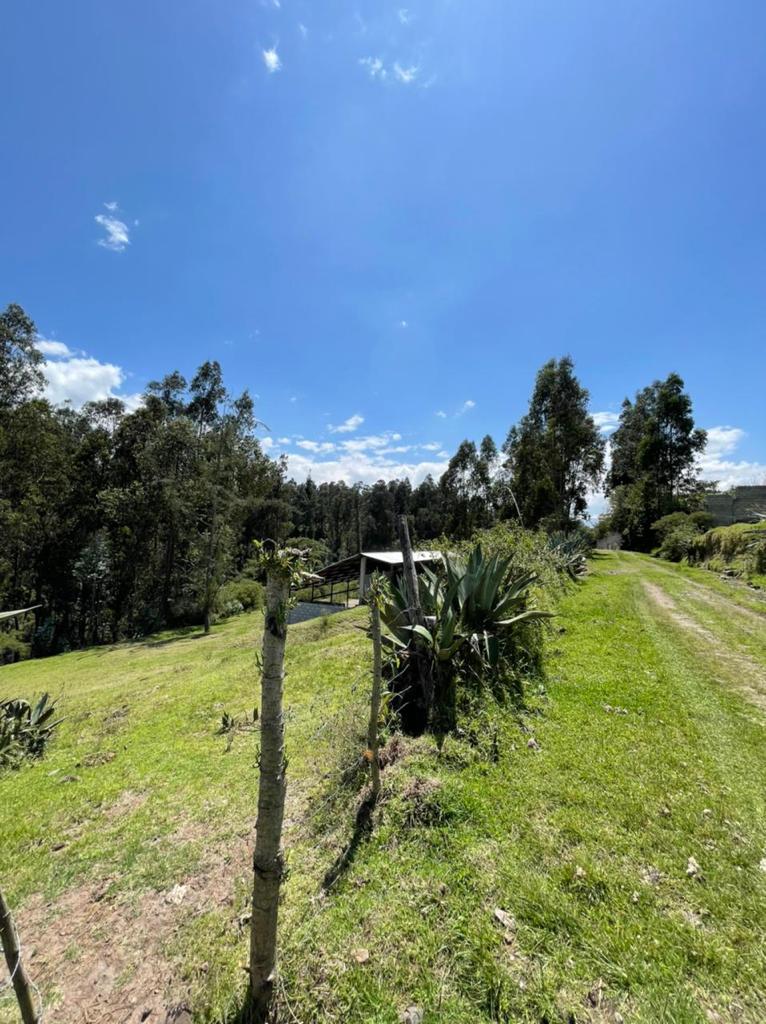 Venta 0987 0100 74 📞 🌳🏞 3 Terrenos con Magia Natural en La Floresta – Alangasí desde 1.780 m² ️🔐✨ ¡Invierte en Tranquilidad, Seguridad y Crecimiento! 📍🚀 #RaícesQueTransforman