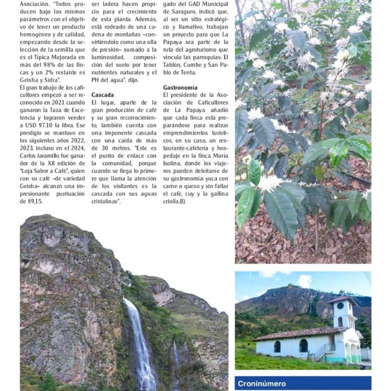 Venta 📞 099 294 7189 🌄 Terreno 26 ha. Para Vivir la Aventura Cafetera💚 Cultiva tu Legado Donde Nace el Café del Alma ☕🌿 #RaícesQueInspiran