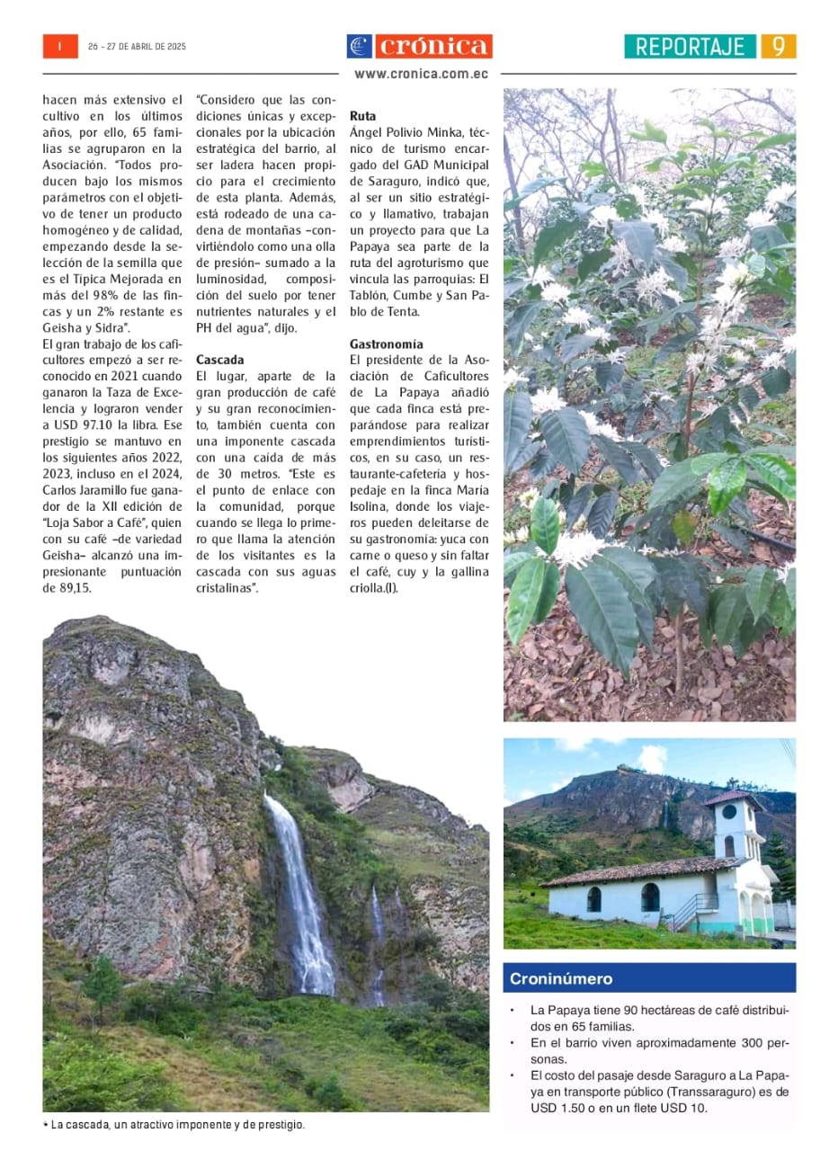 Venta 📞 099 294 7189 🌄 Terreno 26 ha. Para Vivir la Aventura Cafetera💚 Cultiva tu Legado Donde Nace el Café del Alma ☕🌿 #RaícesQueInspiran