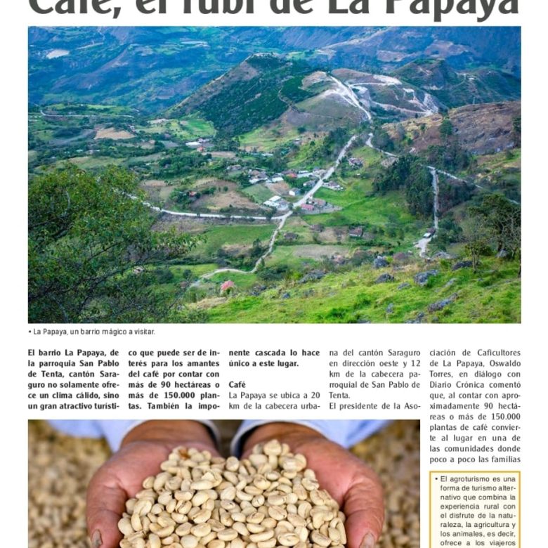 Venta 📞 099 294 7189 🌄 Terreno 26 ha. Para Vivir la Aventura Cafetera💚 Cultiva tu Legado Donde Nace el Café del Alma ☕🌿 #RaícesQueInspiran