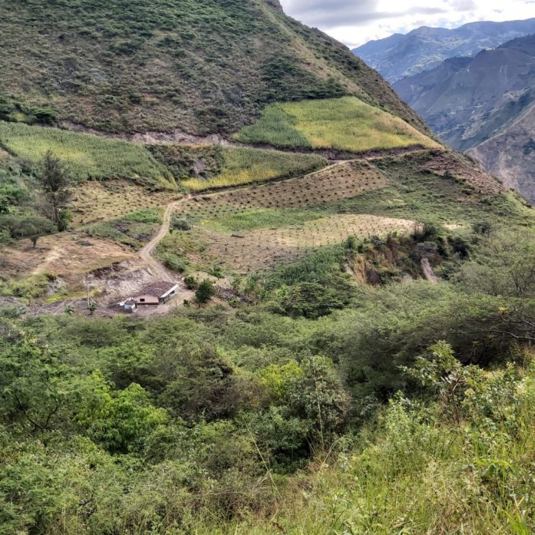Venta 📞 099 294 7189 🌄 Terreno 26 ha. Para Vivir la Aventura Cafetera💚 Cultiva tu Legado Donde Nace el Café del Alma ☕🌿 #RaícesQueInspiran