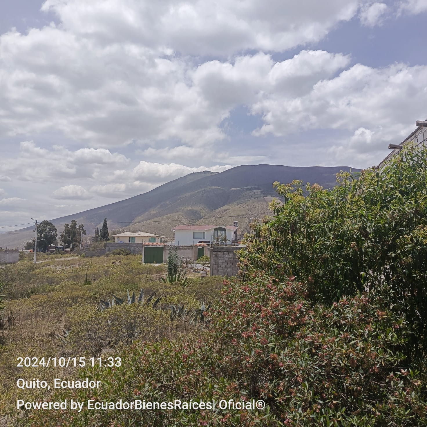 Venta 0987 0100 74 📞 📐 Terreno de 555 m² listo para desarrollar tu próximo gran proyecto 🌍 ¡Invierte en el corazón del turismo ecuatoriano! 📍 Ubicación privilegiada: A solo 1 km del icónico Monumento a la Mitad del Mundo #TuFuturoAquí