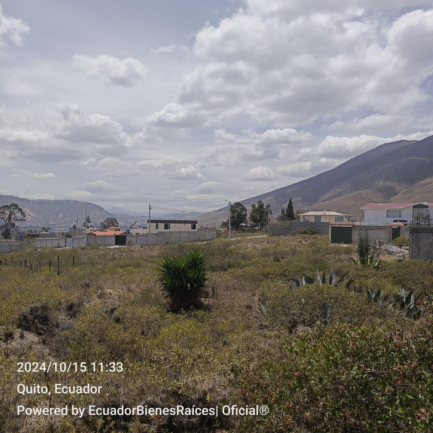 Venta 0987 0100 74 📞 📐 Terreno de 555 m² listo para desarrollar tu próximo gran proyecto 🌍 ¡Invierte en el corazón del turismo ecuatoriano! 📍 Ubicación privilegiada: A solo 1 km del icónico Monumento a la Mitad del Mundo #TuFuturoAquí