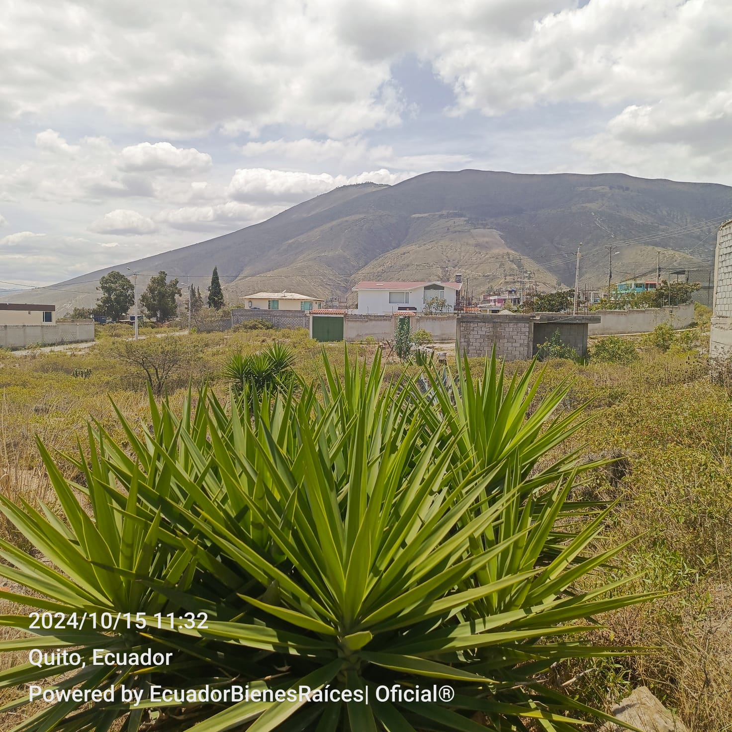 Venta 0987 0100 74 📞 📐 Terreno de 555 m² listo para desarrollar tu próximo gran proyecto 🌍 ¡Invierte en el corazón del turismo ecuatoriano! 📍 Ubicación privilegiada: A solo 1 km del icónico Monumento a la Mitad del Mundo #TuFuturoAquí