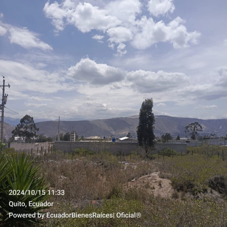 Venta 0987 0100 74 📞 📐 Terreno de 555 m² listo para desarrollar tu próximo gran proyecto 🌍 ¡Invierte en el corazón del turismo ecuatoriano! 📍 Ubicación privilegiada: A solo 1 km del icónico Monumento a la Mitad del Mundo #TuFuturoAquí