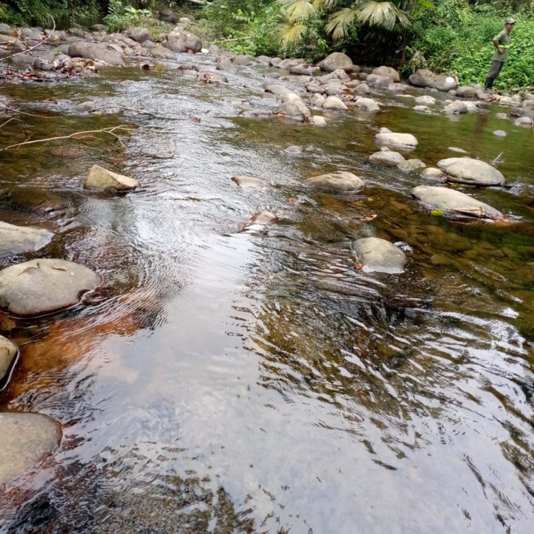 VENDO FINCA CON CASA EN LA CAONI PUERTO QUITO
