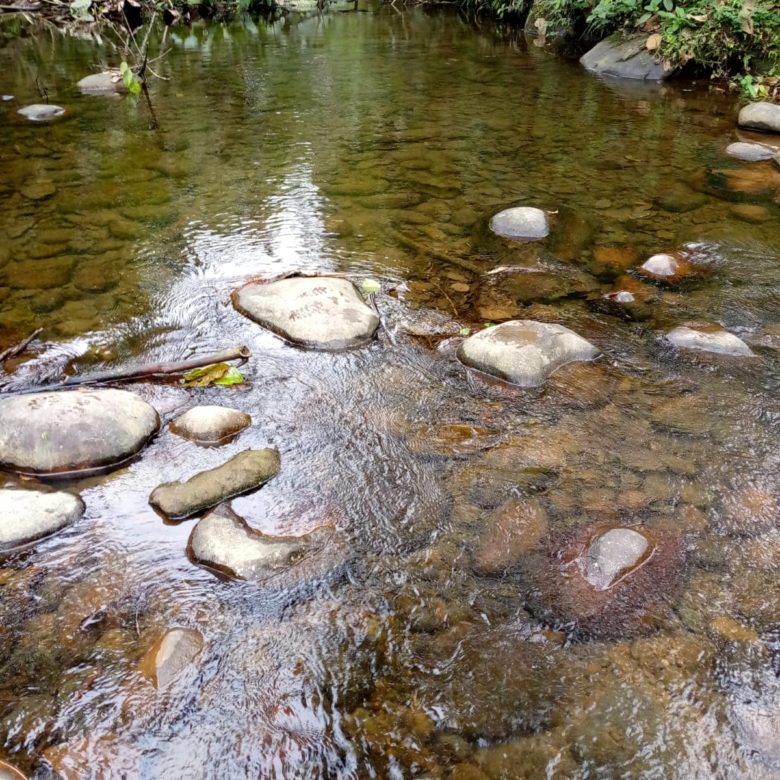 VENDO FINCA CON CASA EN LA CAONI PUERTO QUITO
