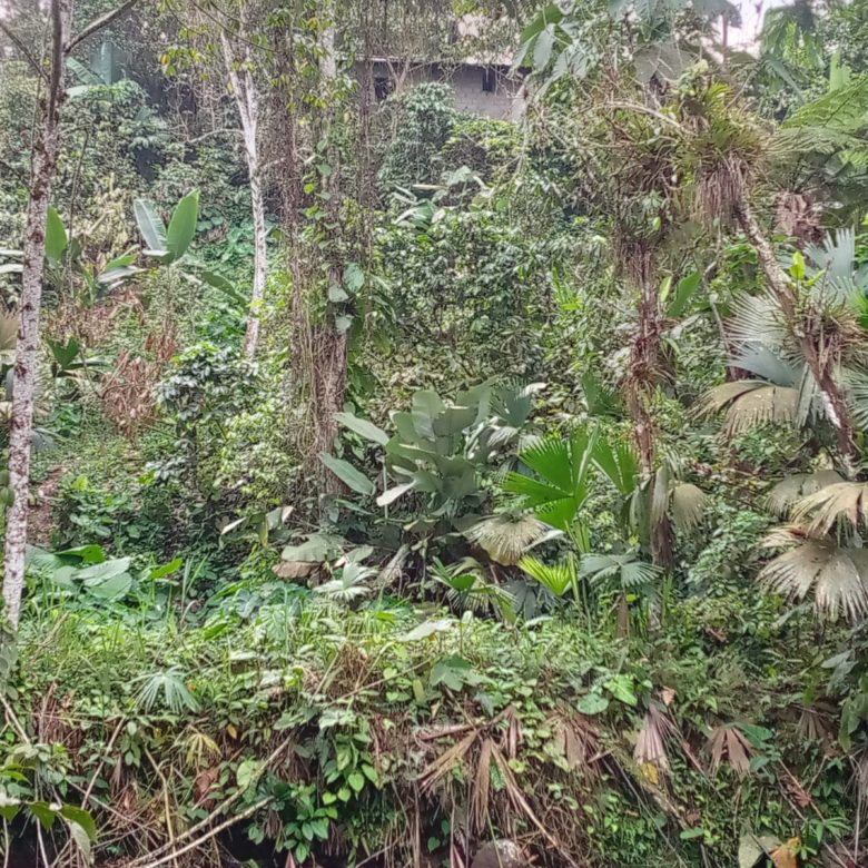 VENDO FINCA CON CASA EN LA CAONI PUERTO QUITO